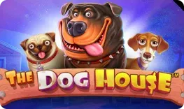 Orozino – The Dog House